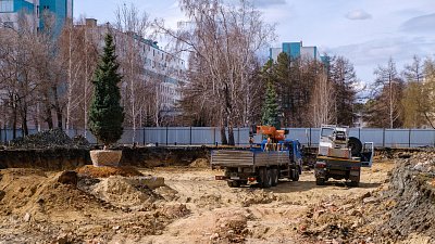 Деревьям со стройплощадки нового корпуса ЧОДКБ нашли новый дом