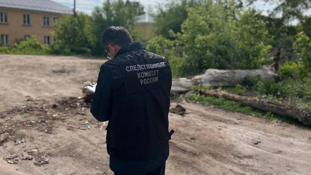 В Копейске 72‑летнюю женщину насмерть придавило деревом