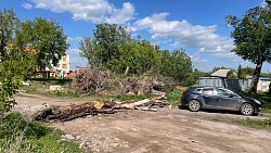 В Копейске 72‑летнюю женщину насмерть придавило деревом