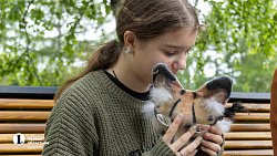 Квадробика: безобидное увлечение или повод для беспокойства?