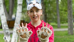 Квадробика: безобидное увлечение или повод для беспокойства?