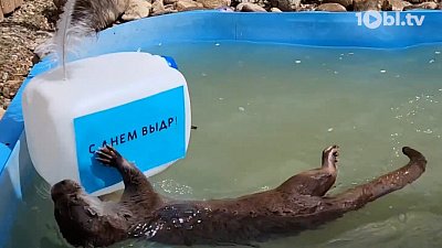 Всемирный день выдр отпраздновали в Челябинском зоопарке