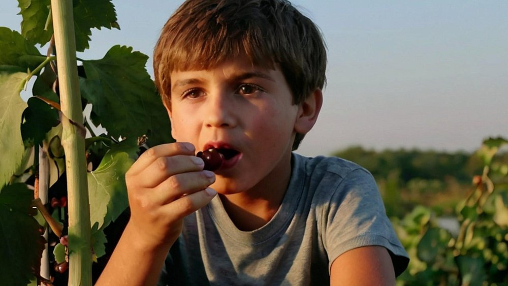 Снизить выраженность сезонной аллергии у ребенка помогут продукты с антиоксидантами