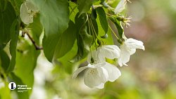 Что еще удивит Ольгу Бузову в Челябинске