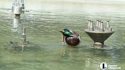 Что еще удивит Ольгу Бузову в Челябинске