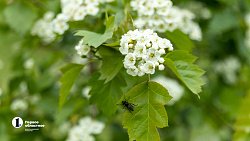 Что еще удивит Ольгу Бузову в Челябинске