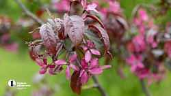 Что еще удивит Ольгу Бузову в Челябинске