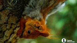 Что еще удивит Ольгу Бузову в Челябинске