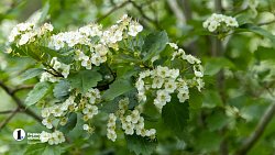 Что еще удивит Ольгу Бузову в Челябинске