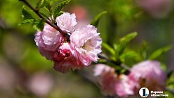 Что еще удивит Ольгу Бузову в Челябинске