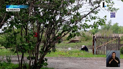 Кустарники в садах южноуральцев атаковала черная тля