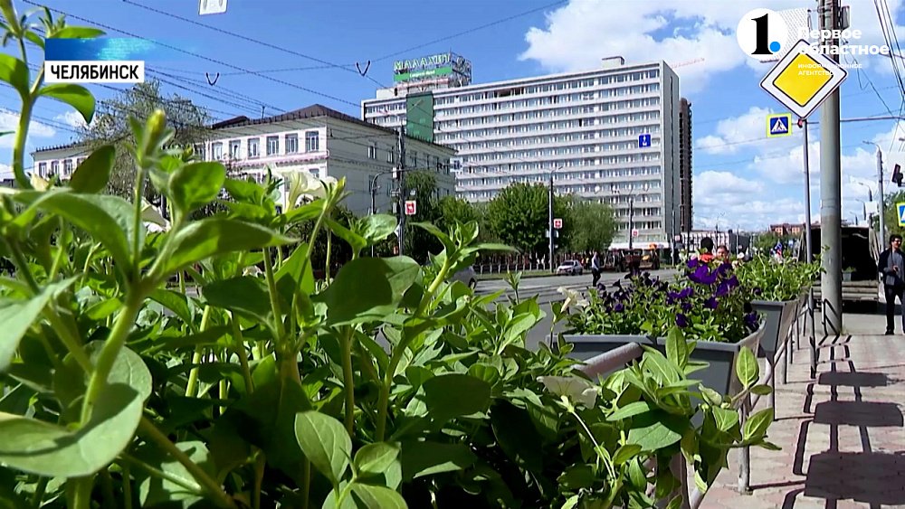 Улицы Челябинска украшают кашпо с петуньями