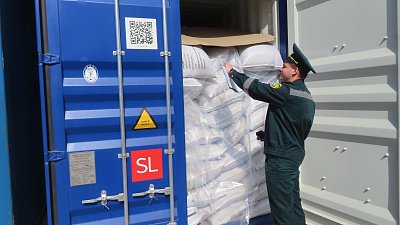 На Южный Урал поступили семена подсолнечника из Китая