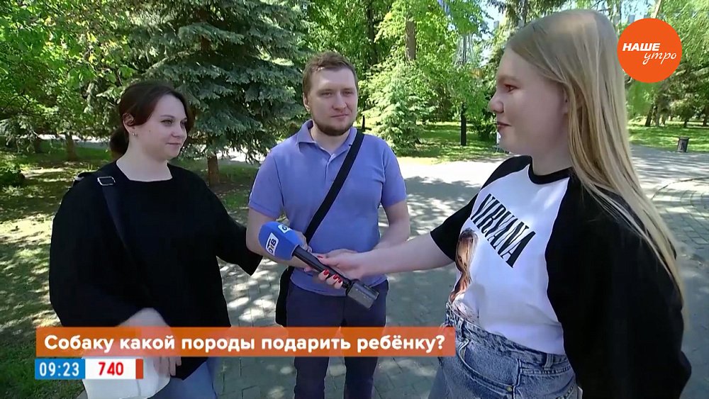 Мнения челябинцев в опросе «Собаку какой породы подарить ребенку?»