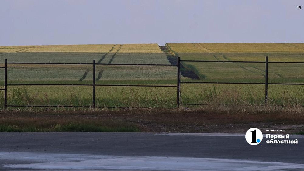 В Челябинской области в срок засеяли почти все поля