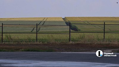 В Челябинской области в срок засеяли почти все поля