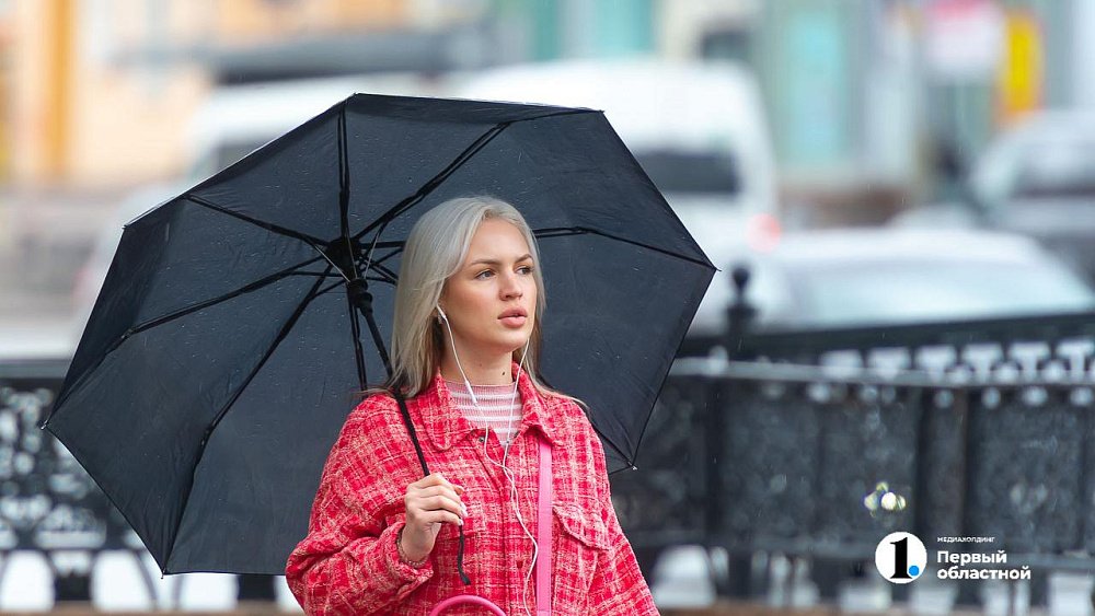 Дождливая погода сохранится в Челябинской области 6 июня
