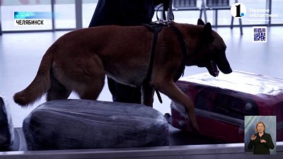 Как работает таможенный пост в аэропорту Челябинска