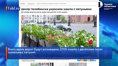 Столицу Южного Урала украшают кашпо с петуниями