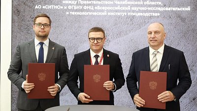 В Челябинской области займутся селекцией кур и нарастят производство макарон