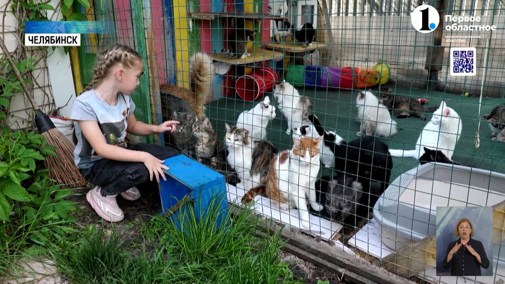Детский сад «Обыкновенное чудо» помогает бездомным животным