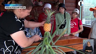 Жительница Нязепетровского района вырастила в теплице тайский ананас
