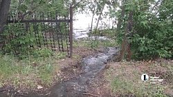 Челябинцы пожаловались на разлив канализации возле Первого озера