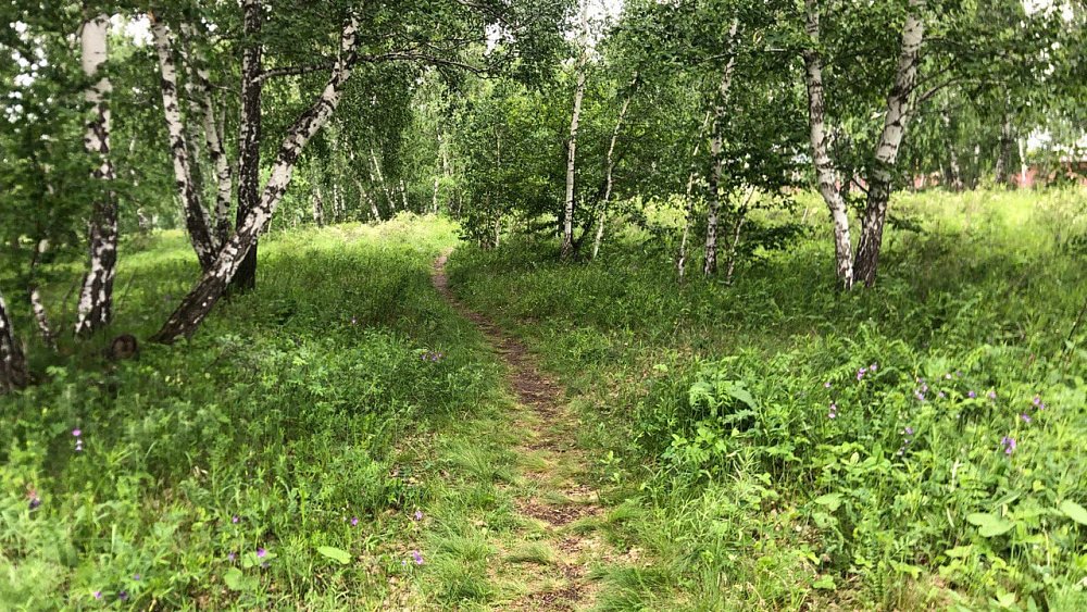 Поисковики Челябинской области за неделю спасли восемь человек