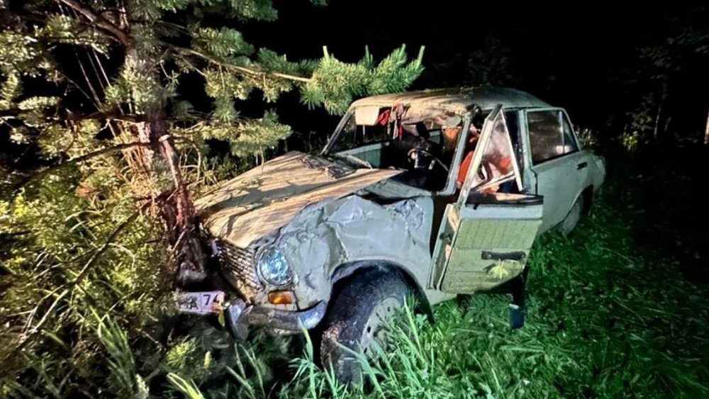 Пьяный подросток опрокинулся в кювет и врезался в дерево под Катав‑Ивановском