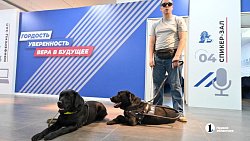 «Запоминают до 50 маршрутов»: в Челябинской области живут 13 собак‑поводырей