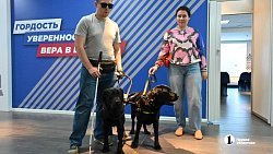 «Запоминают до 50 маршрутов»: в Челябинской области живут 13 собак‑поводырей