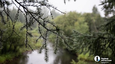 За пять лет в Челябинской области вредные выбросы снизились на 43%