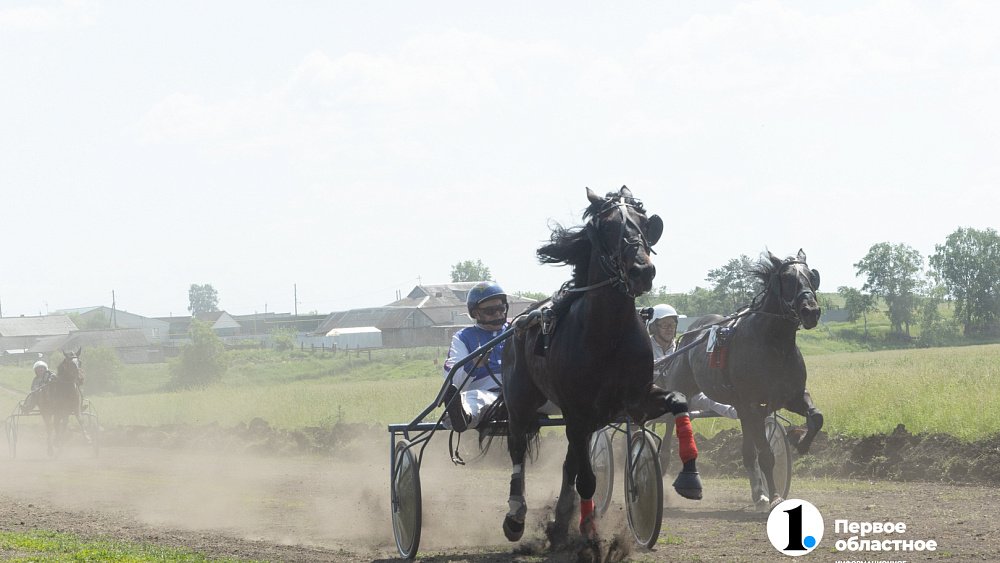 Конные бега в Уйском районе собрали участников и зрителей со всей Челябинской области