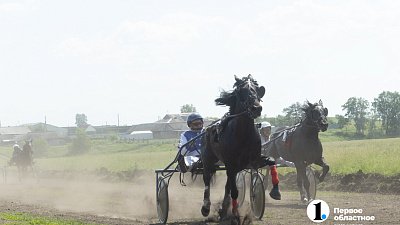 Конные бега в Уйском районе собрали участников и зрителей со всей Челябинской области