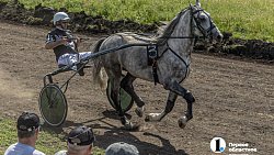 Конные бега в Уйском районе собрали участников и зрителей со всей Челябинской области