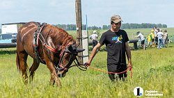 Конные бега в Уйском районе собрали участников и зрителей со всей Челябинской области