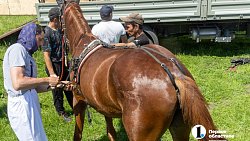 Конные бега в Уйском районе собрали участников и зрителей со всей Челябинской области