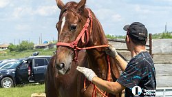 Конные бега в Уйском районе собрали участников и зрителей со всей Челябинской области