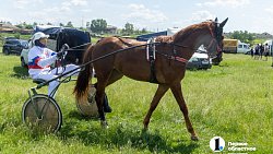 Конные бега в Уйском районе собрали участников и зрителей со всей Челябинской области