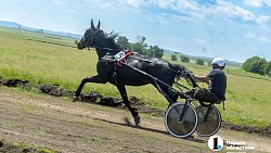 Конные бега в Уйском районе собрали участников и зрителей со всей Челябинской области