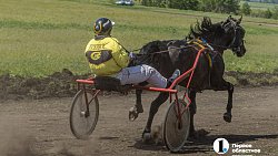 Конные бега в Уйском районе собрали участников и зрителей со всей Челябинской области