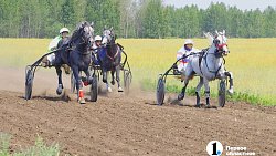 Тысячи гостей собрал Сабантуй в Челябинской области