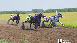 Тысячи гостей собрал Сабантуй в Челябинской области