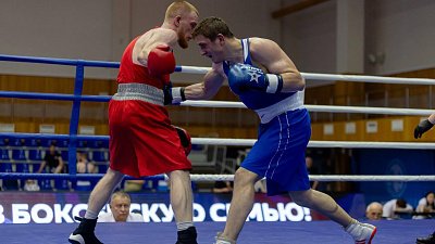 Восемь челябинских боксеров завоевали золотые медали чемпионата УрФО