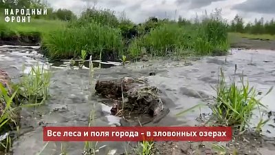В Коркино стоки потекли по лугам и полям