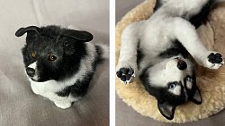 Жительница Южноуральска делает игрушки по фотографиям умерших животных