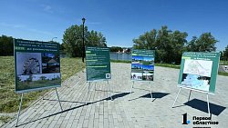 В парке имени Пушкина в Кыштыме установят круглогодичное колесо обозрения