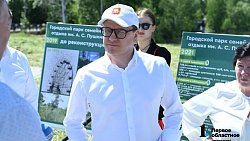 В парке имени Пушкина в Кыштыме установят круглогодичное колесо обозрения