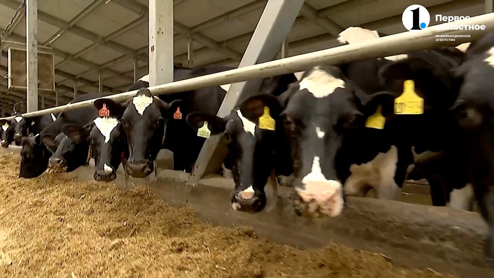 Минсельхоз поставил задачу промаркировать всех животных в подворьях