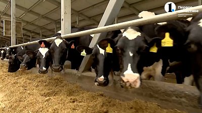 Минсельхоз поставил задачу промаркировать всех животных в подворьях